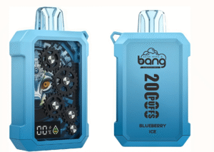  BANG 20000 齒輪水果口味