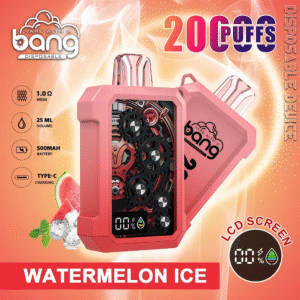  BANG 20000 齒輪