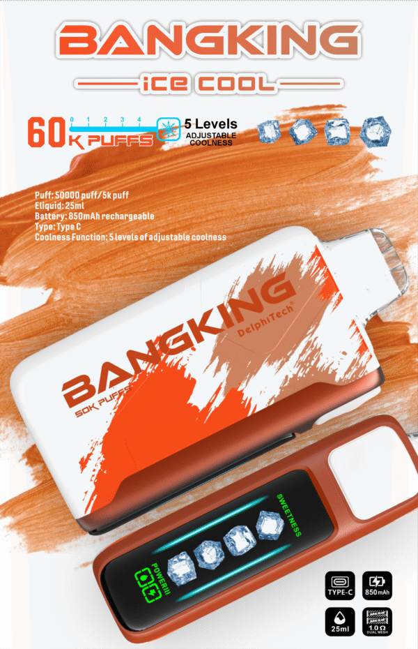 Bang King Ice Cool 60K DSK048 一次性電子煙 台灣現貨 – 60000口超大容量5級可調清涼可充電一次性電子煙推薦 派對解癮神器