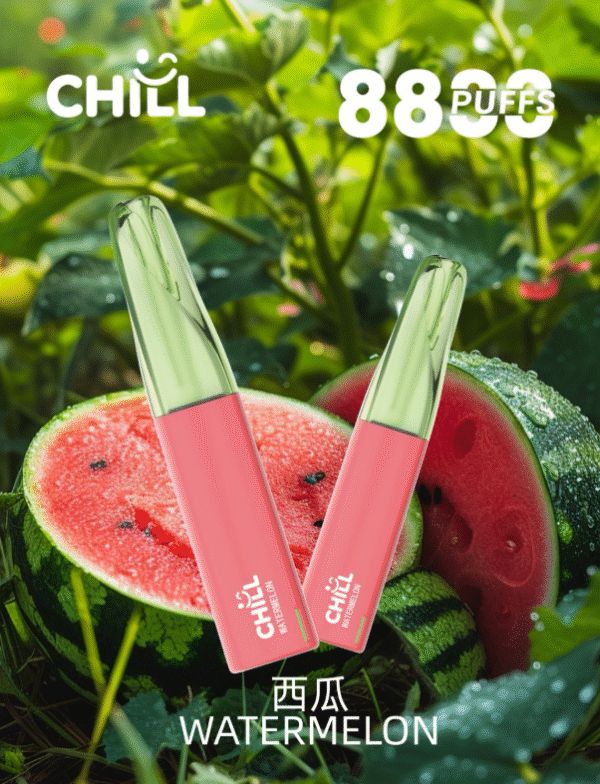 CHILL鴨嘴獸式拋棄式8800口 大容量電子煙台灣推薦