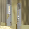 🎄聖誕節禮物 。 SP2s聖誕限定珍藏版，sp2s國際版鈦主機聖誕限定 節日限定主機