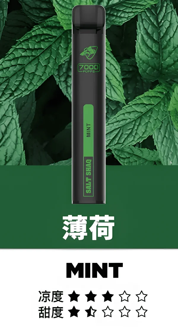 鯊克7500口薄荷.jpg_upscayl_4x_upscayl-standard-4x 💨 鯊克小黑條 7000 口:長續航、極致輕量,拋棄式體驗新巔峰——台灣拋棄式推薦