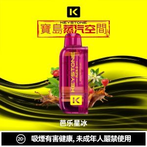 KEYSTONE 鑰石 FLEX-3 拋棄式主機